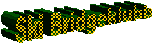 Ski Bridgeklubb